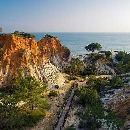 Cosy Little House 公寓 阿尔布费拉